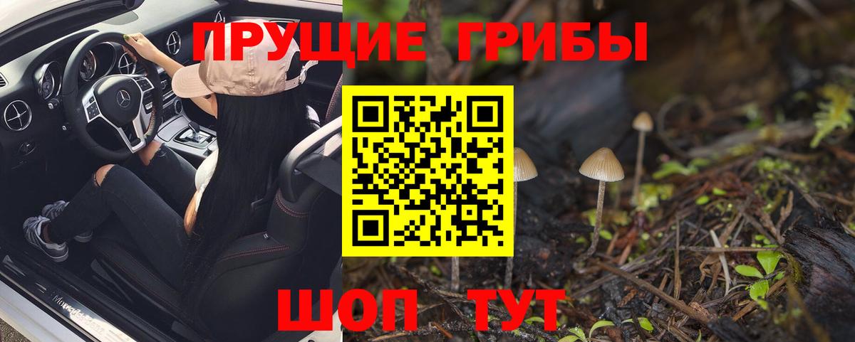 Галлюциногенные грибы Cubensis  Вход с VPN  Соликамск  Галлюциногенные грибы мухоморы 